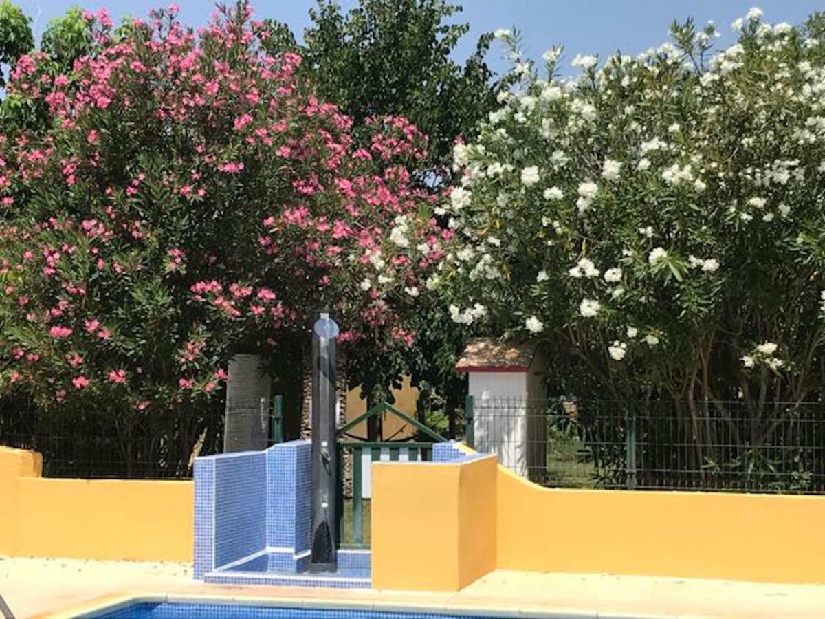 Residence Les Caraibes Sérignan Εξωτερικό φωτογραφία